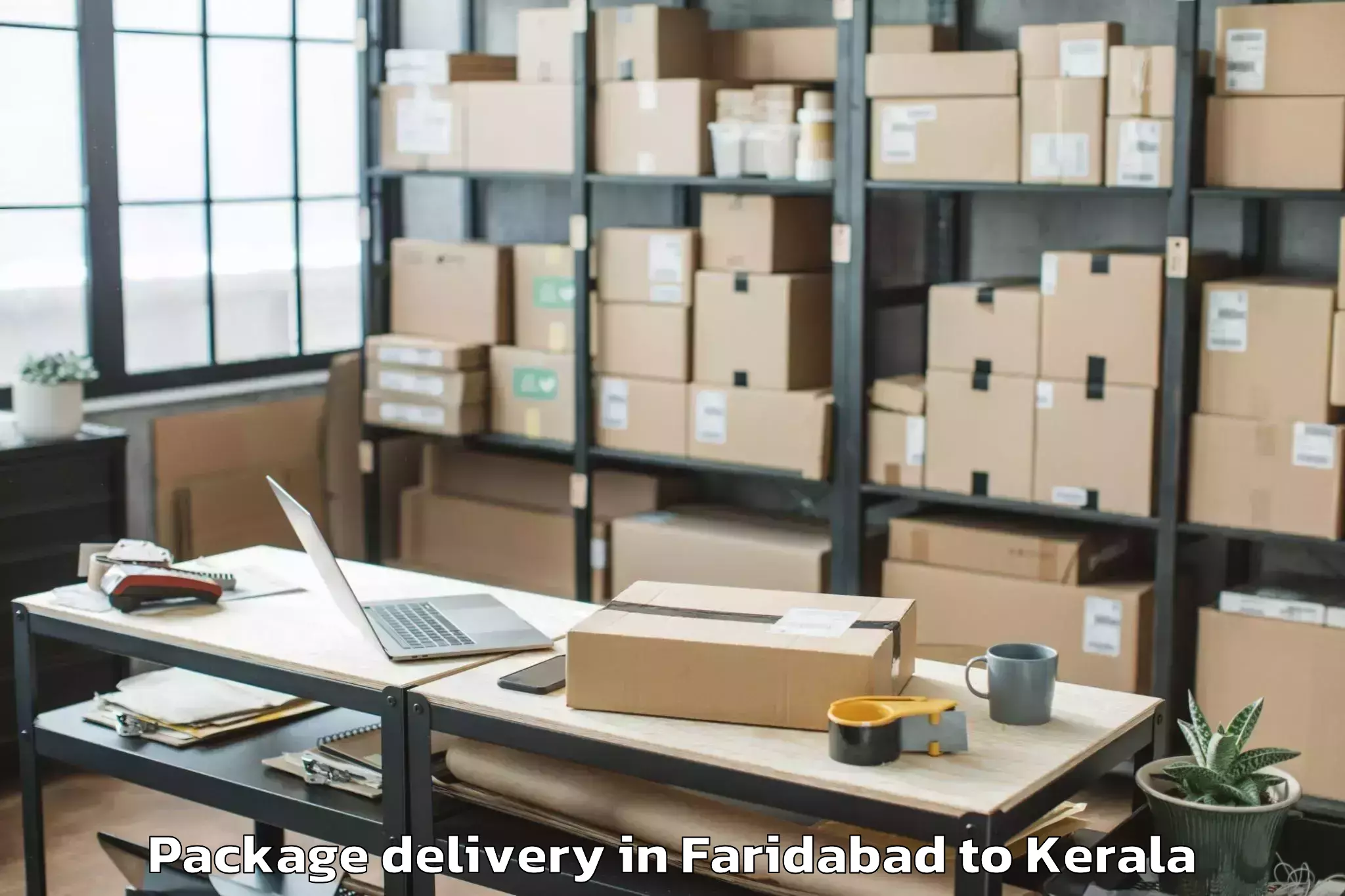 Quality Faridabad to Pappinissheri Package Delivery